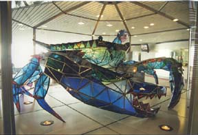 [photo, Stained-glass blue crab, by Jackie Leatherbury Douglass, Baltimore-Washington International Airport (upper level), Maryland]