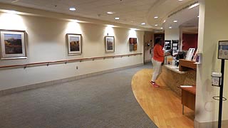 [photo, Marlene and Stewart Greenebaum Comprehensive Cancer Center, University of Maryland Medical Center, 22 South Greene St., Baltimore, Maryland]