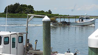 [photo, Working boats, Dougherty Creek, Crisfield, Maryland]